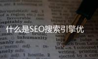什么是SEO搜索引擎优化