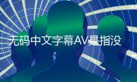 无码中文字幕AV是指没有马赛克的日本成人影片，同时配有中文字幕。相比于有码或者无码无字幕的AV，无码中文字幕AV更受欢迎。这是因为中文字幕能够帮助观众更好地理解对话和情节，提升观影体验。